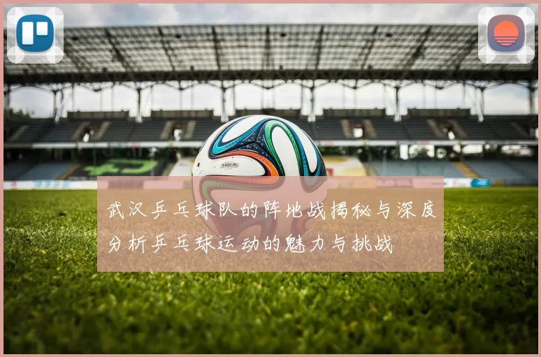 武汉乒乓球队的阵地战揭秘与深度分析乒乓球运动的魅力与挑战