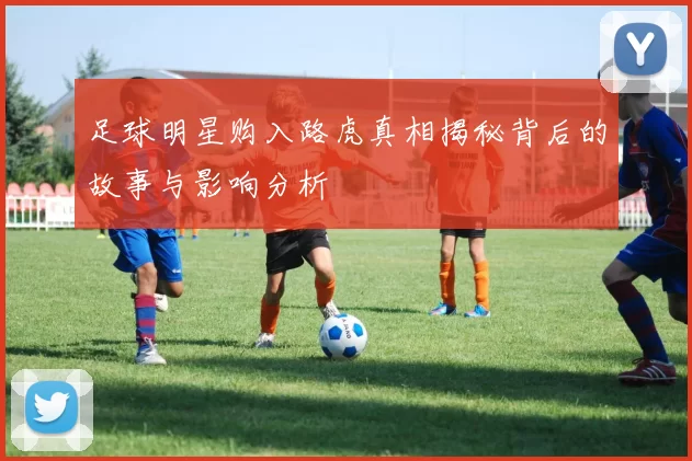 足球明星购入路虎真相揭秘背后的故事与影响分析