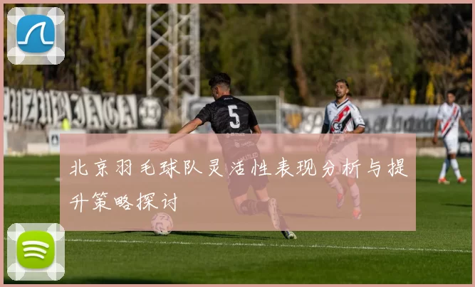 北京羽毛球队灵活性表现分析与提升策略探讨