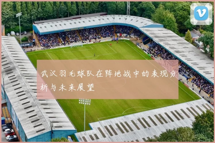 武汉羽毛球队在阵地战中的表现分析与未来展望