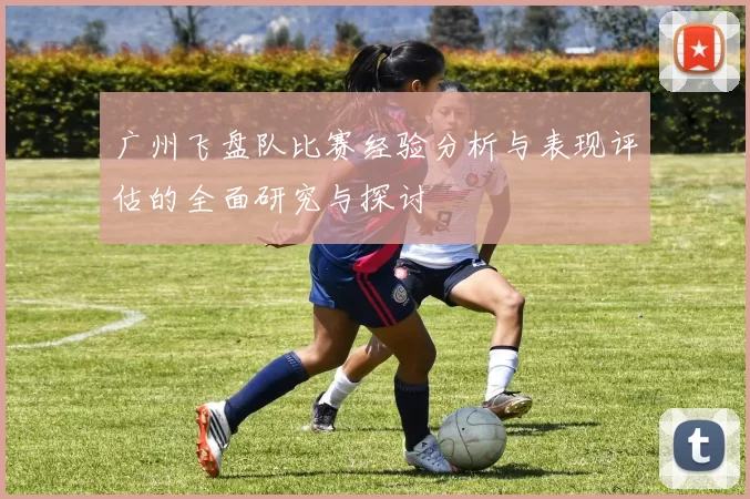广州飞盘队比赛经验分析与表现评估的全面研究与探讨