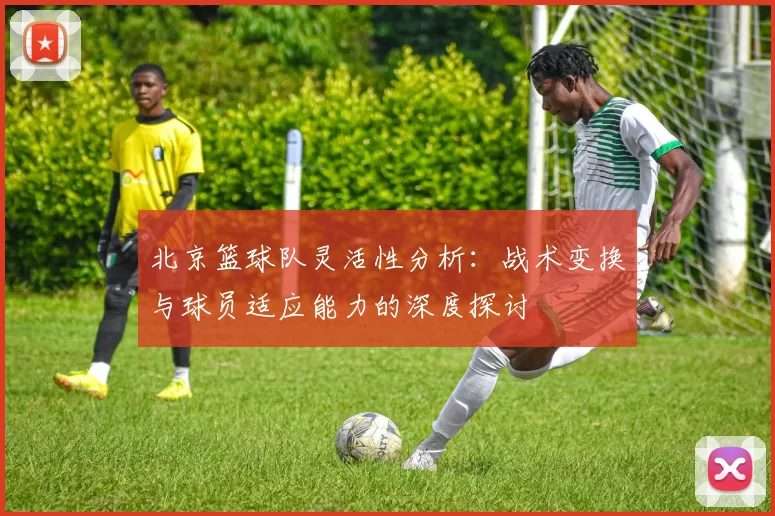 北京篮球队灵活性分析：战术变换与球员适应能力的深度探讨
