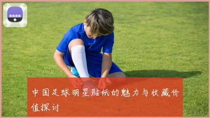 中国足球明星贴纸的魅力与收藏价值探讨