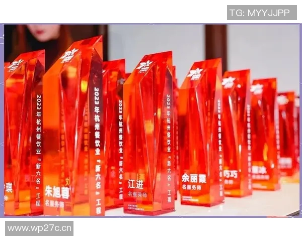 杭州羽毛球队运营分析：成功经验与面临挑战的全面探讨